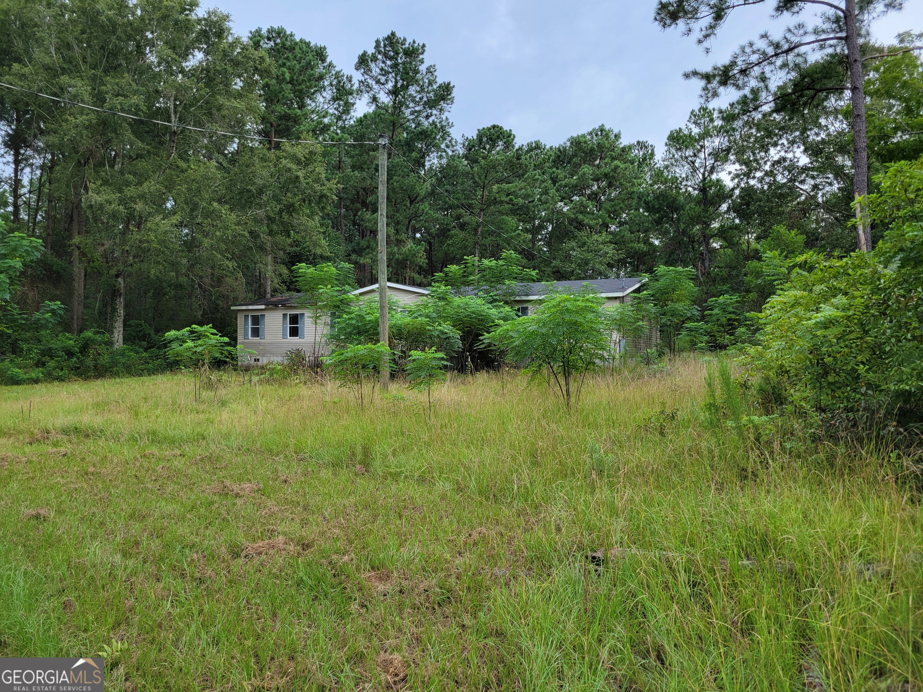 11358 Zebina Road Louisville, GA 30434 - Photo 8 of 22 a view of a lake with green space