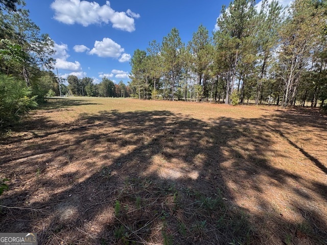 2470 Kitchen Road Dexter, GA 31019 - Photo 35 of 56 a view of outdoor space with trees