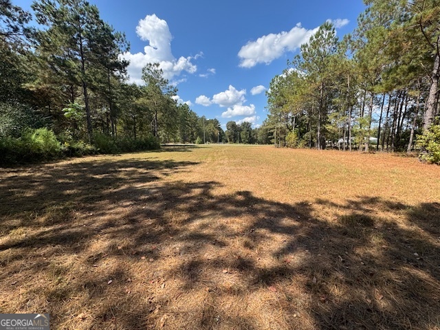 2470 Kitchen Road Dexter, GA 31019 - Photo 36 of 56