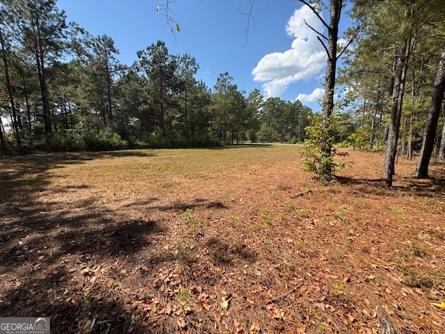 2470 Kitchen Road Dexter, GA 31019 - Photo 37 of 56