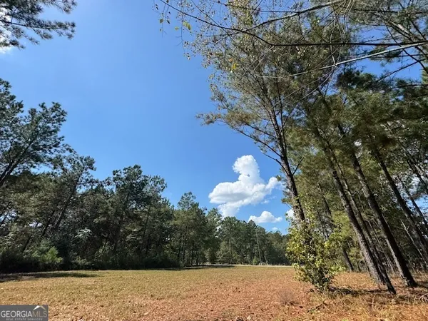 $219,000 | 2470 Kitchen Road, Dexter, GA 31019