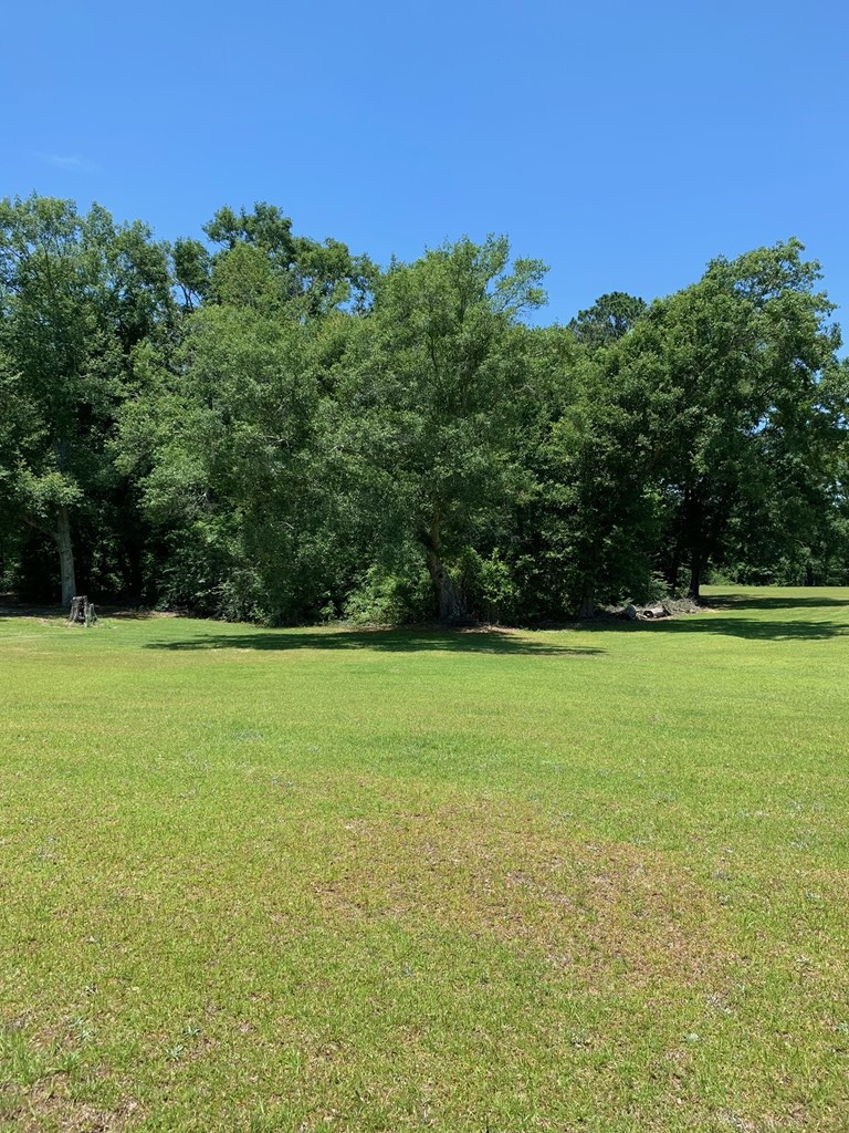 0 South Co Road Ashford, AL 36312 - Photo 5 of 16