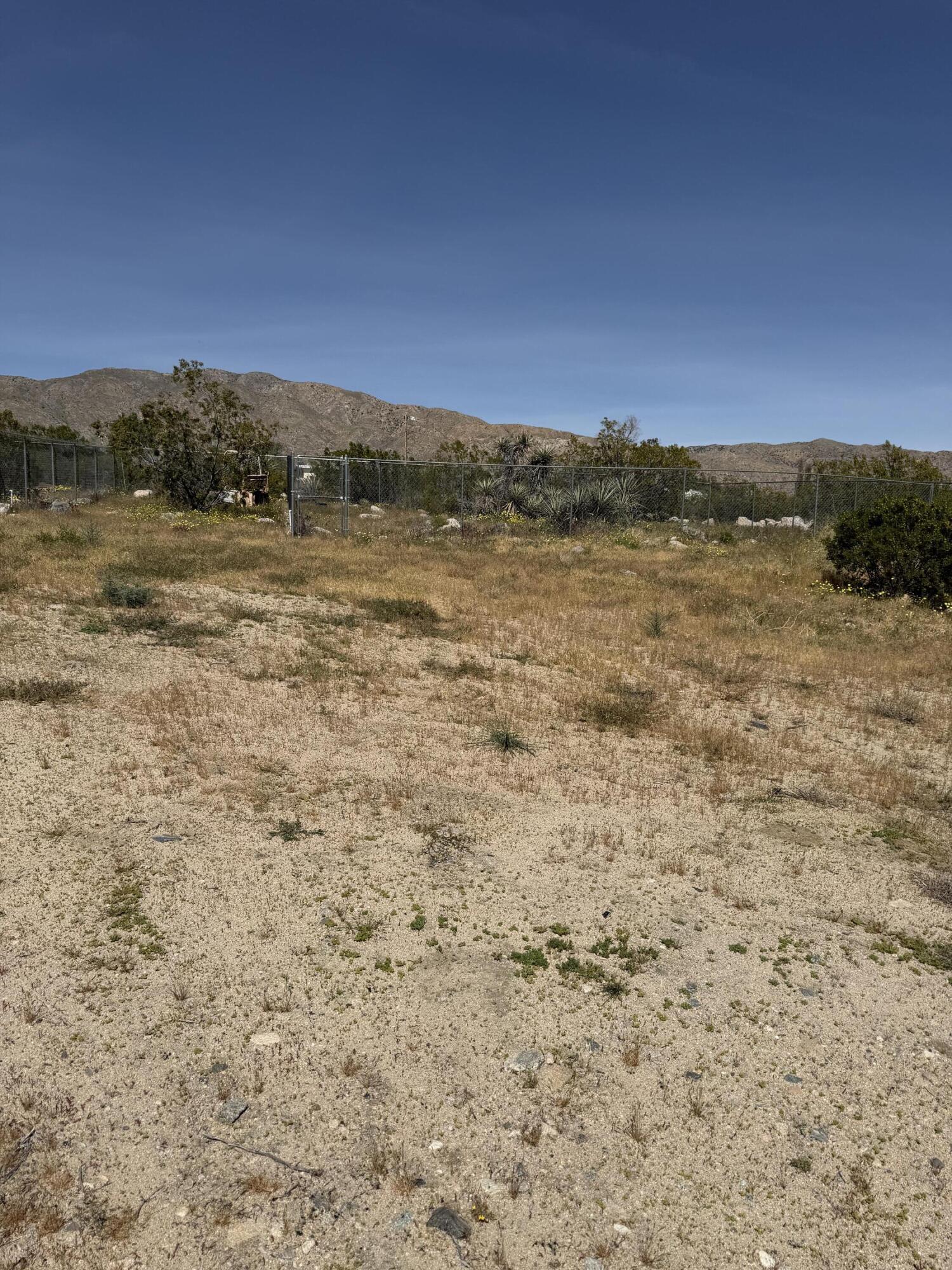 50988 Canyon Road Morongo Valley, CA 92256 - Photo 68 of 68 IMG_1787