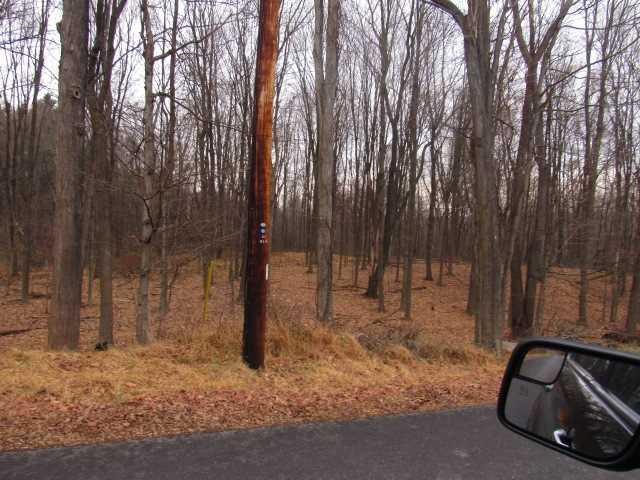 Williams (2 Lots) Road Red Hook, NY 12571 - Photo 1 of 1