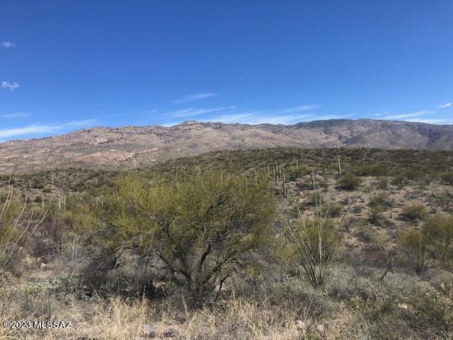 East Rincon Creek Ranch Road, Unit D Tucson, AZ 85747 - Photo 4 of 12 Gallery Image 4