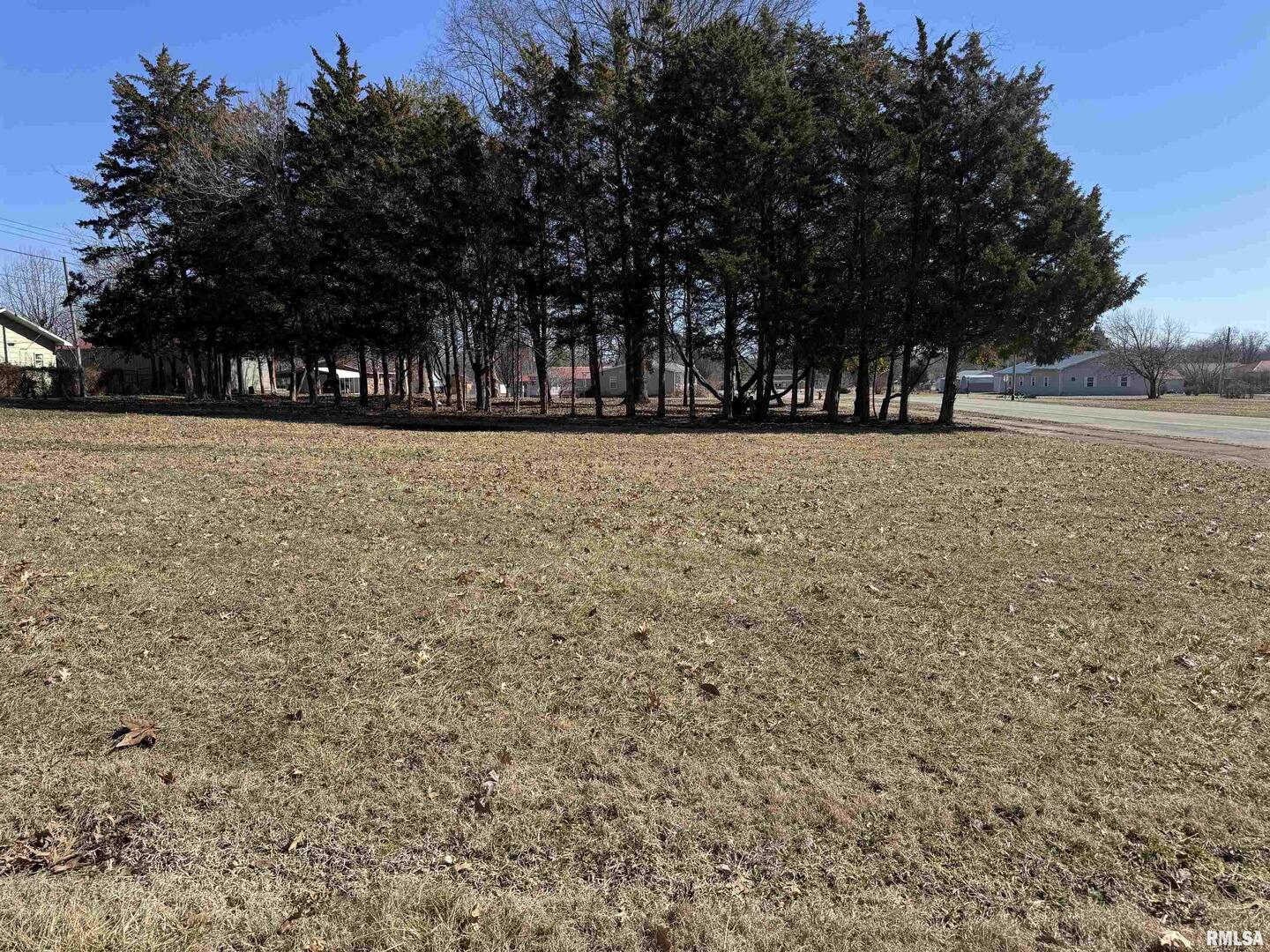 0 Main Street Benton, IL 62812 - Photo 2 of 9 a view of outdoor space with trees