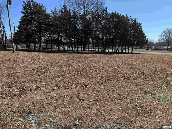 a view of outdoor space with garden