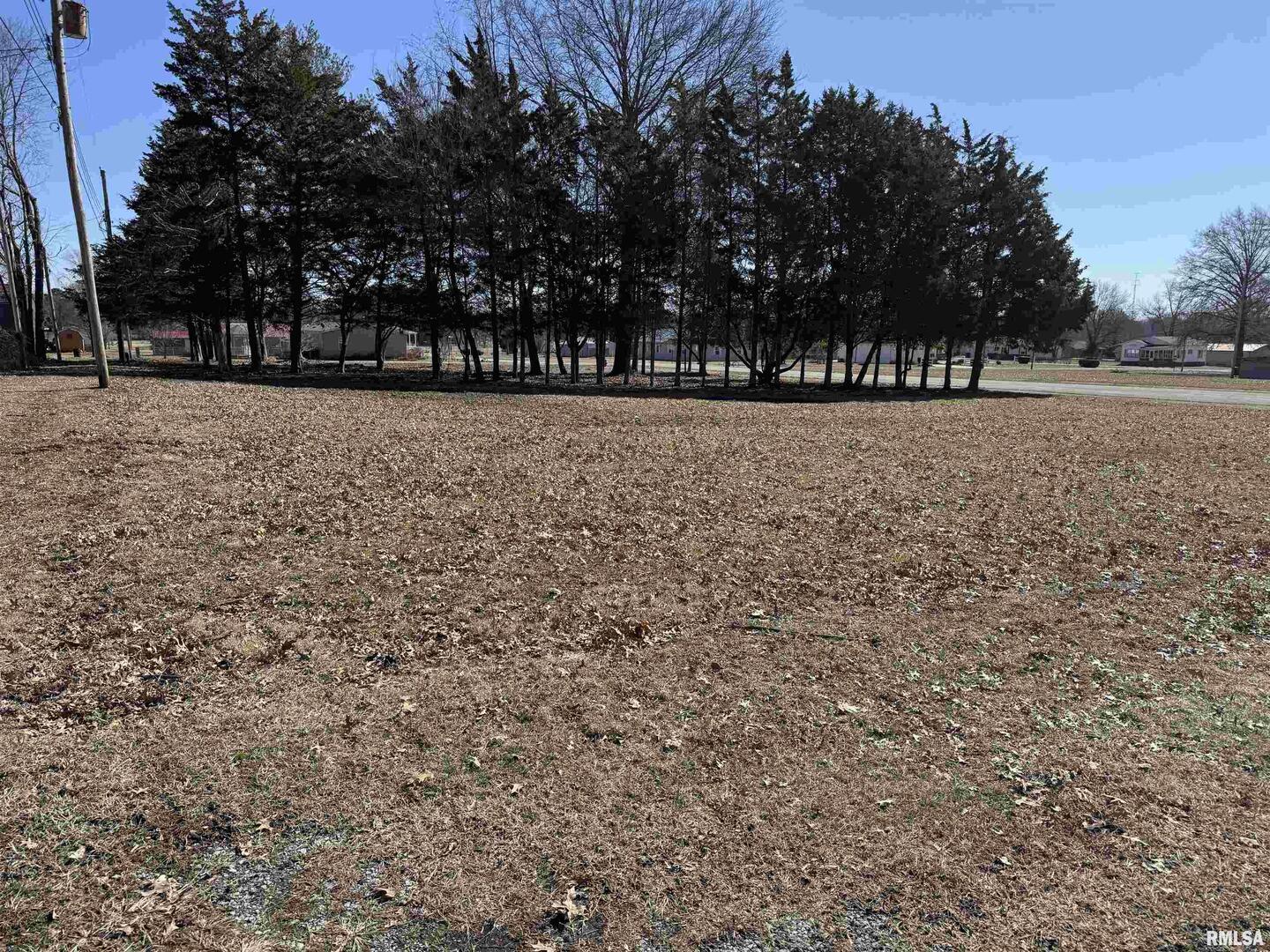 0 Main Street Benton, IL 62812 - Photo 3 of 9 a view of outdoor space with garden