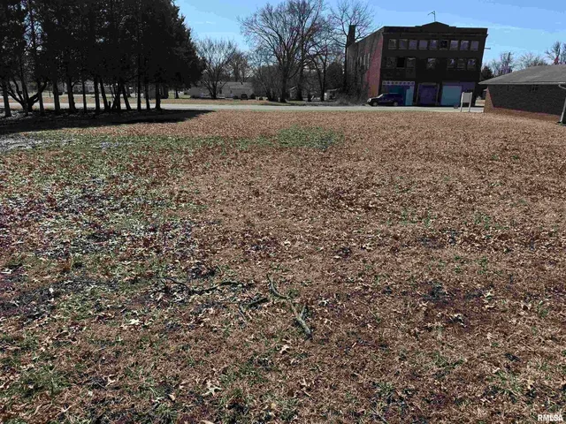 a view of a yard with a house