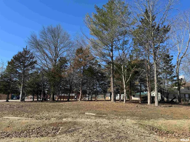 a view of a yard with a trees