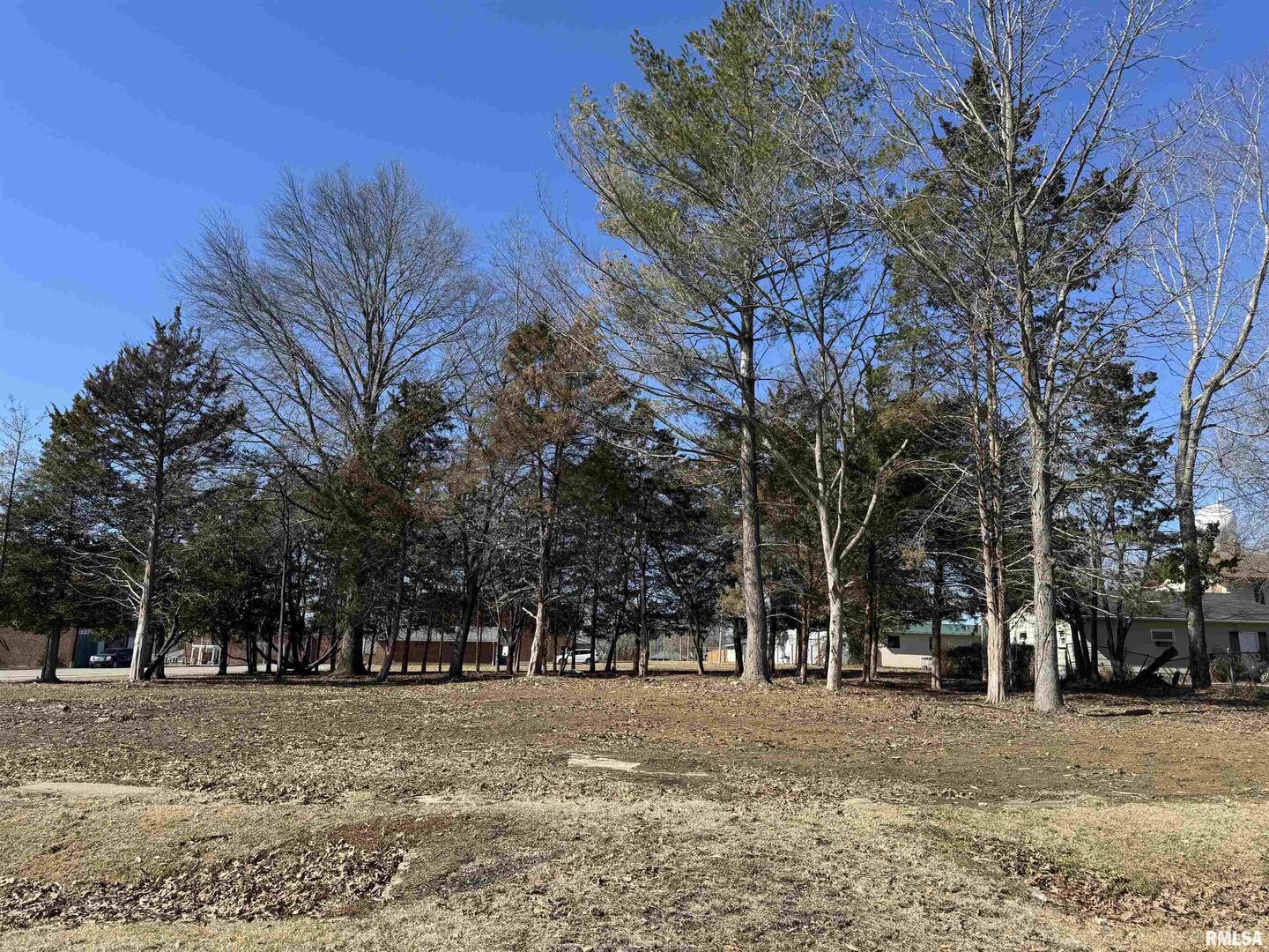 0 Main Street Benton, IL 62812 - Photo 5 of 9 a view of a yard with a trees