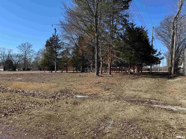 a view of outdoor space with trees