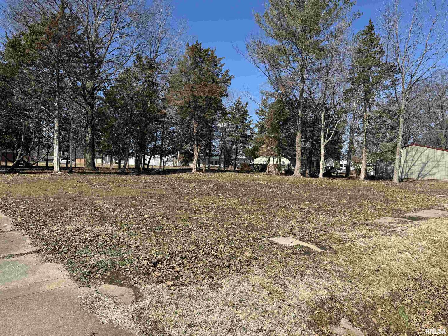 0 Main Street Benton, IL 62812 - Photo 8 of 9