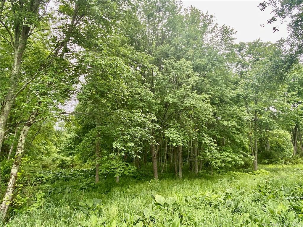 408 Martin Road Hebron, CT 06248 - Photo 1 of 1 a backyard of a house with lots of green space and chair