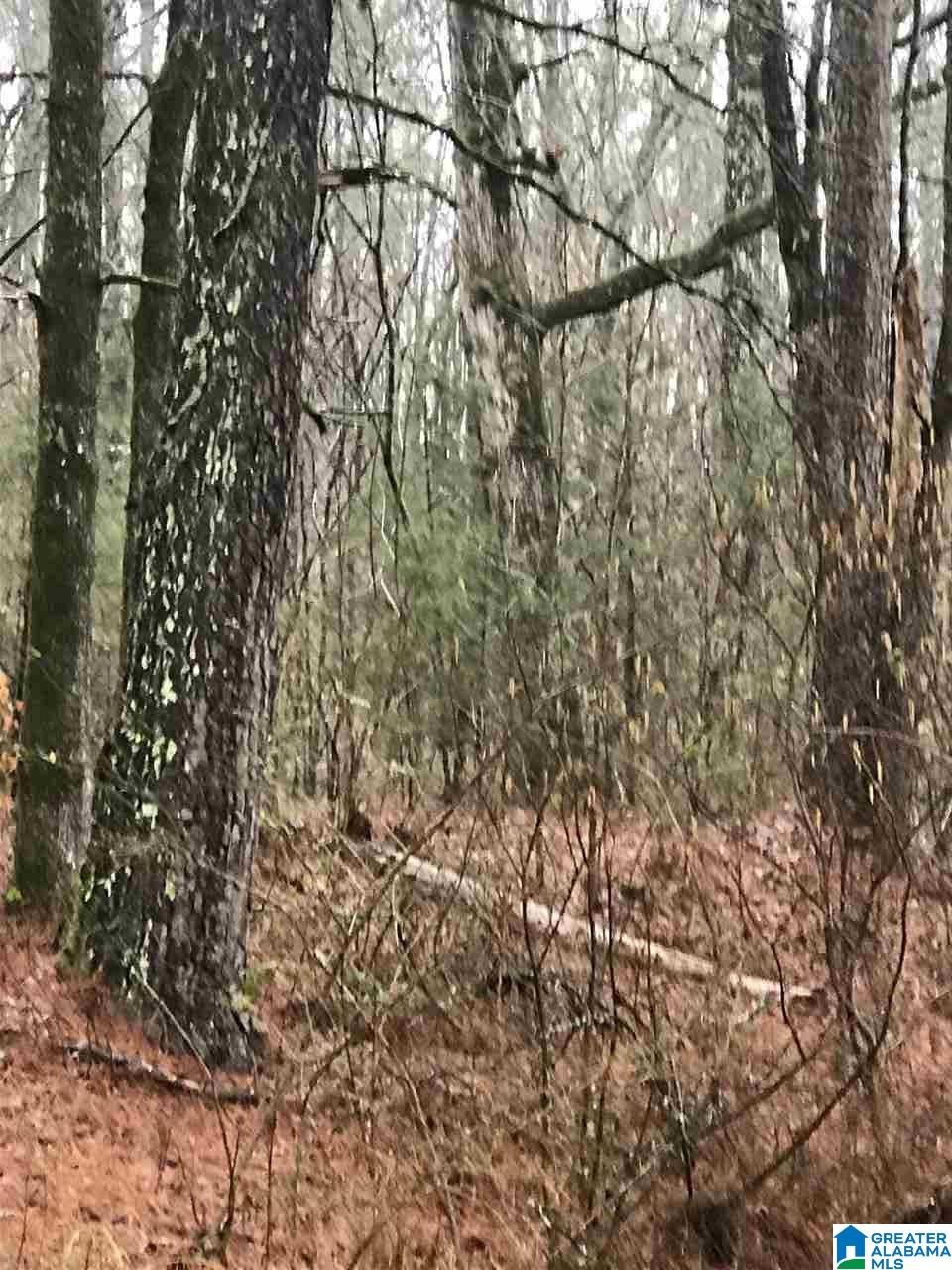 0 Maddox Road, Unit 1 Pell City, AL 35125 - Photo 7 of 10