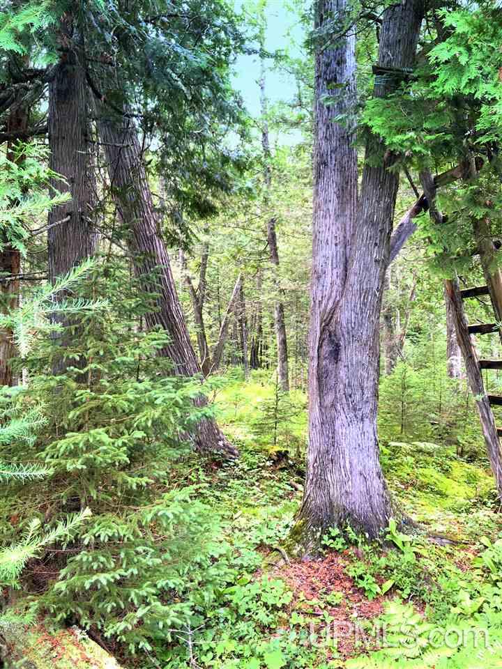 Tbd Perlot Road Felch, MI 49831 - Photo 18 of 45