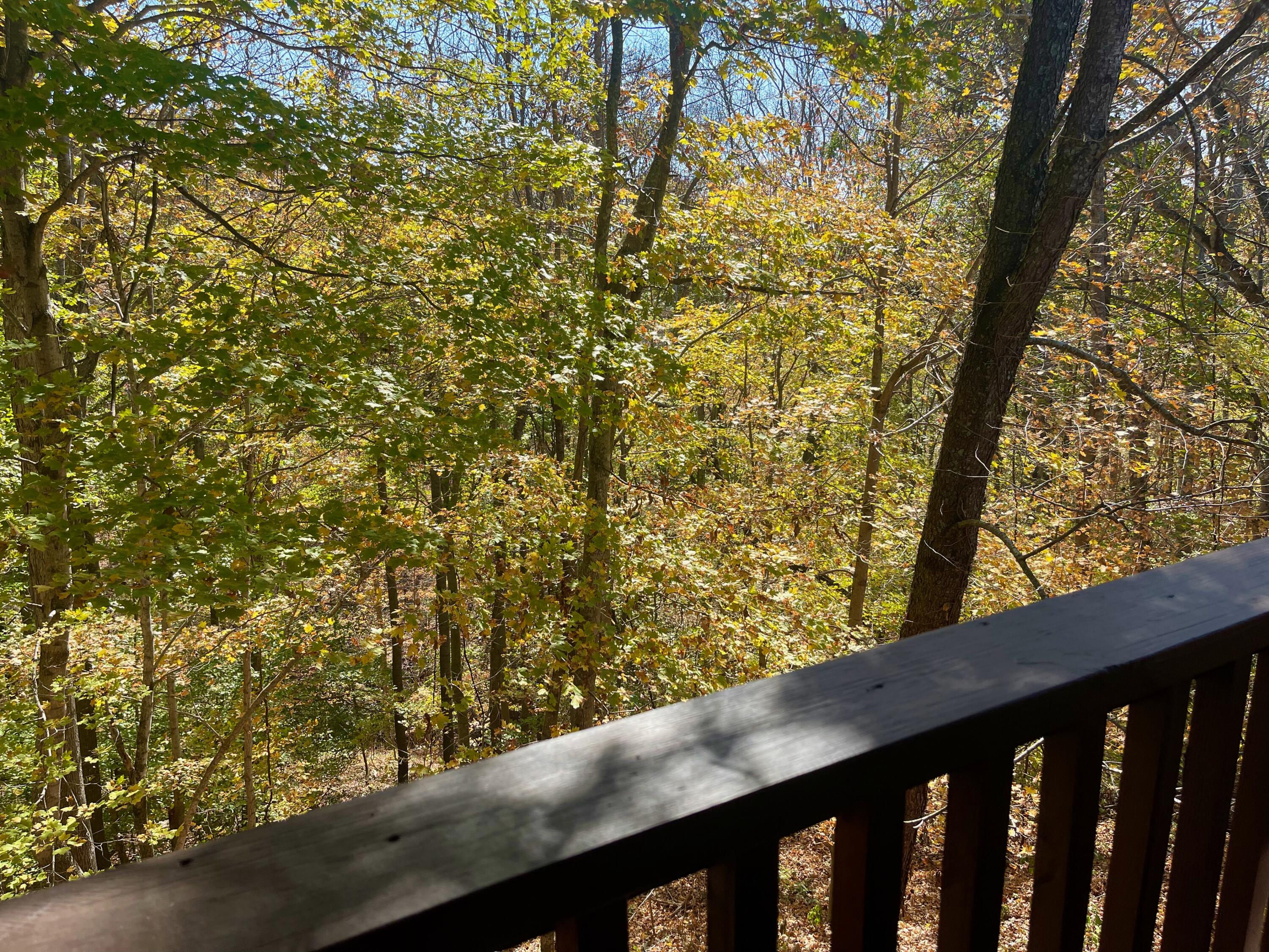 145 State Park Road, Unit G4 Jamestown, KY 42629 - Photo 24 of 34 View Deck