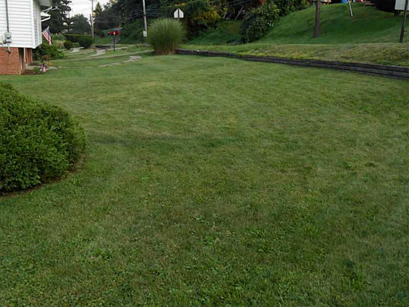 5095 McAnulty Road Baldwin, PA 15236 - Photo 5 of 25 Yard/Garden.