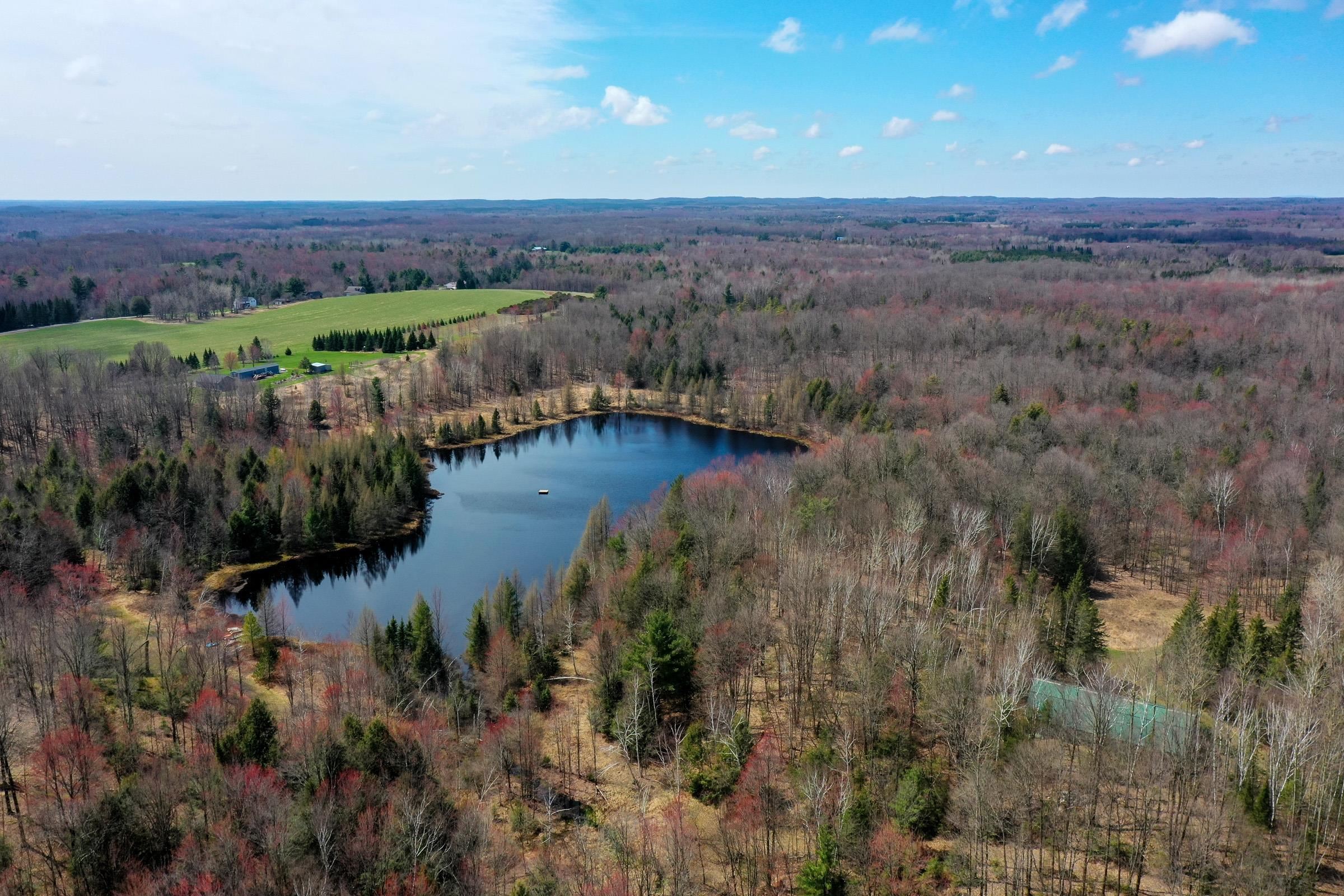 N5317 County Road East Medford, WI 54451 - Photo 2 of 23