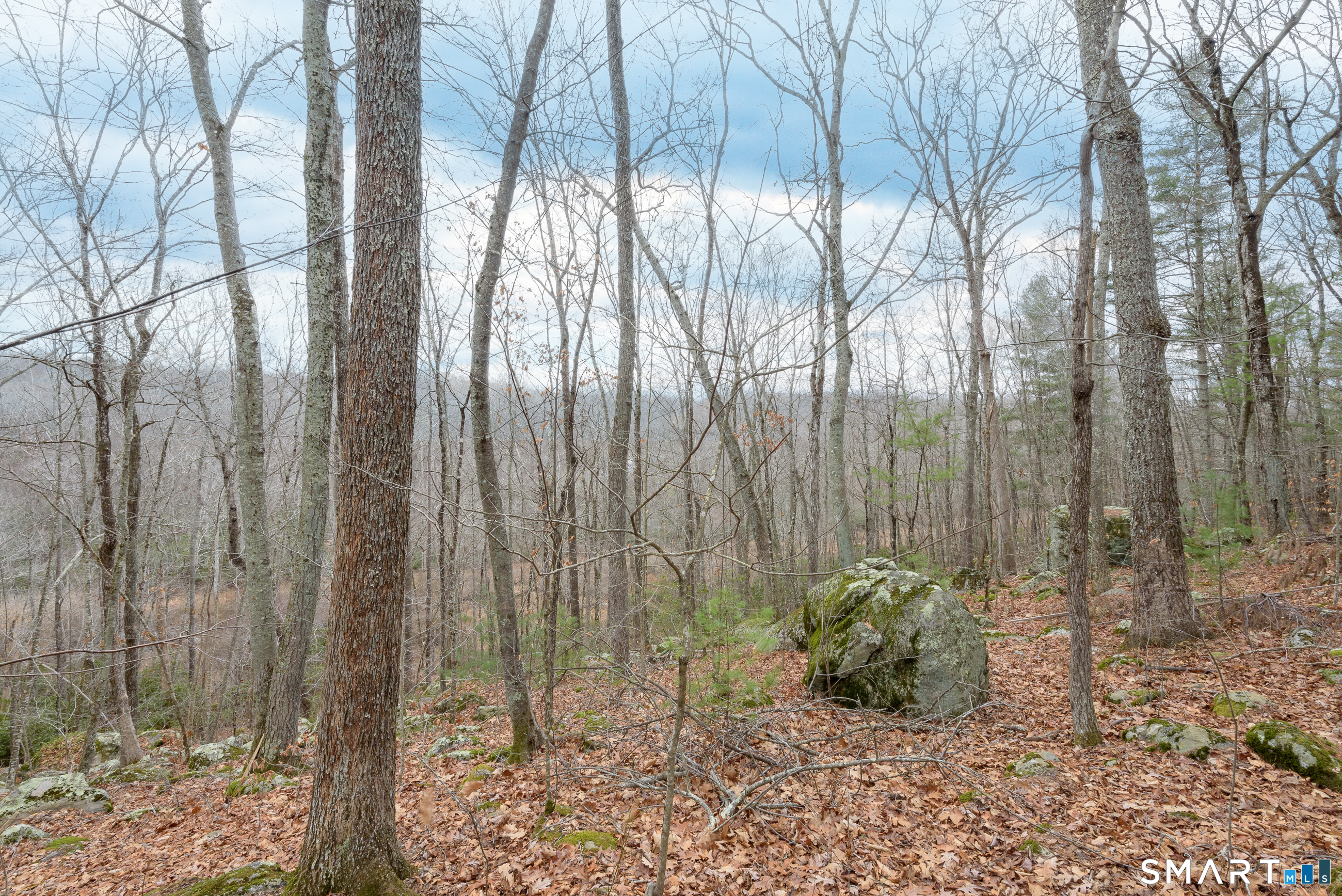 18 Alexander Road East Haddam, CT 06415 - Photo 30 of 34