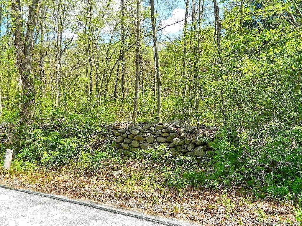 48 Saner Road Marlborough, CT 06447 - Photo 1 of 1 Nice flag lot will offer privacy and has 50' of road frontage.