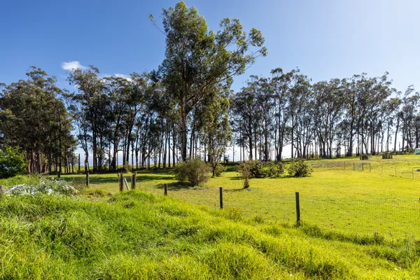$385,000 | 64-5316 Lot 84 Puanuanu Place, Kamuela, HI 96743