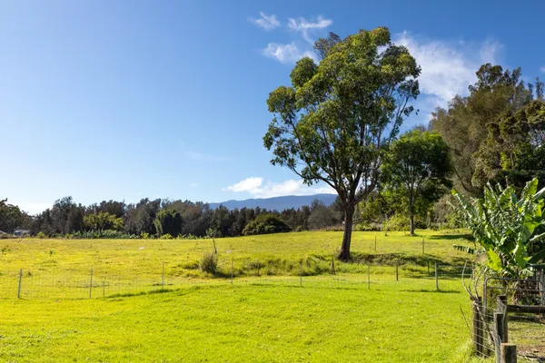 $385,000 | 64-5316 Lot 84 Puanuanu Place, Kamuela, HI 96743