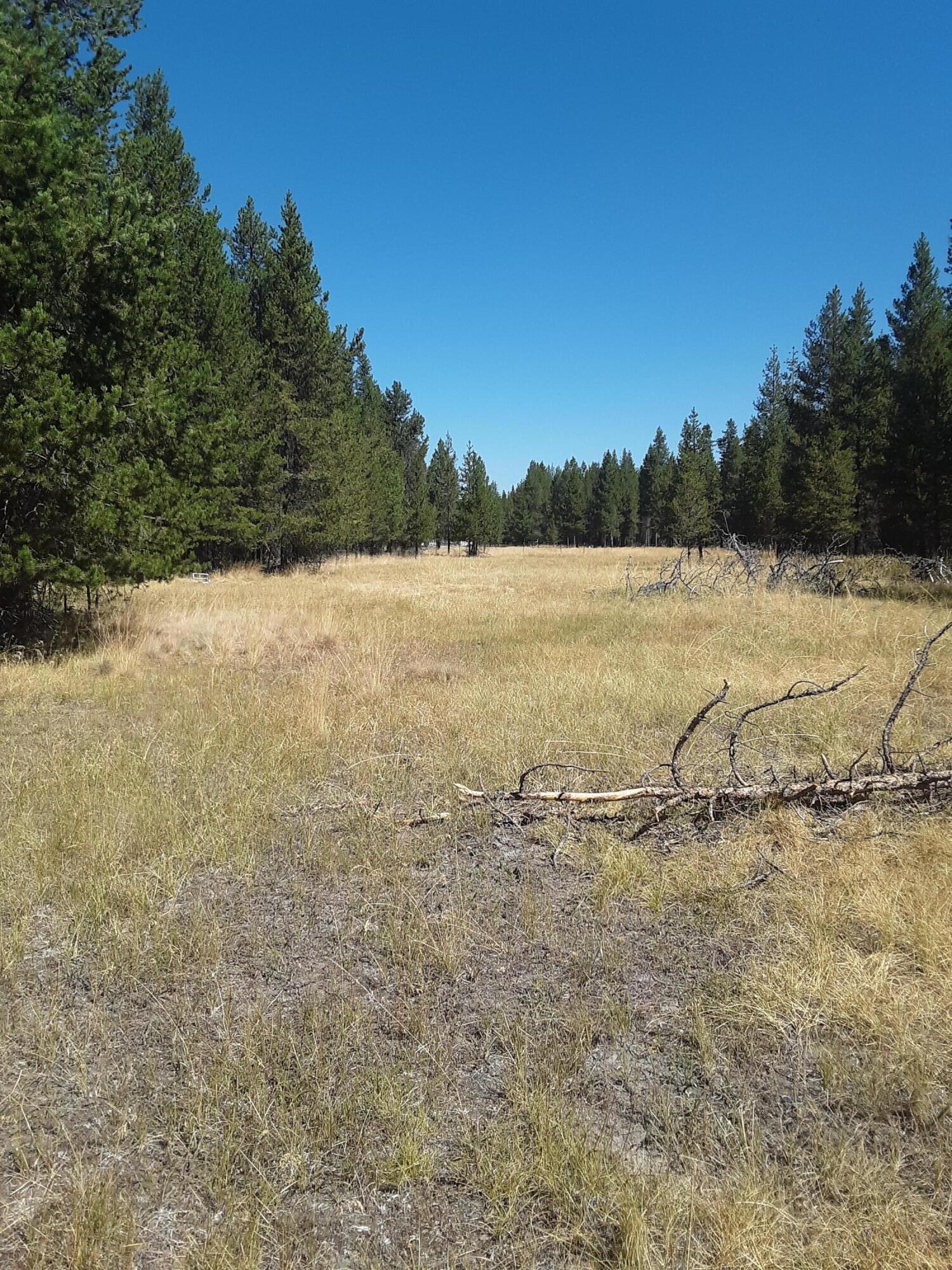 149447 Jerry Road La Pine, OR 97739 - Photo 1 of 2 20220826_114352 (1)