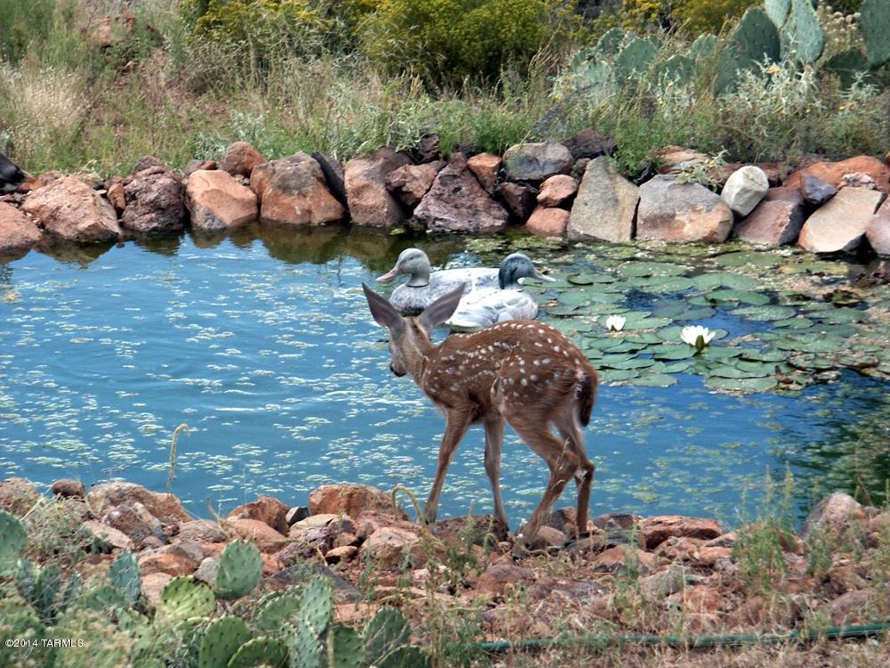 74 Camino Tango Rio Rico, AZ 85648 - Photo 7 of 27