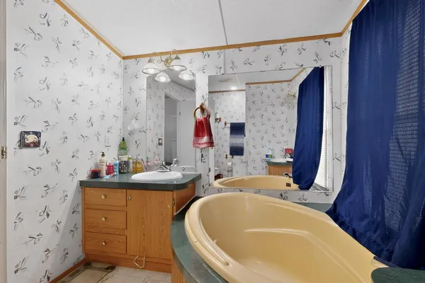 a bathroom with a tub sink and mirror