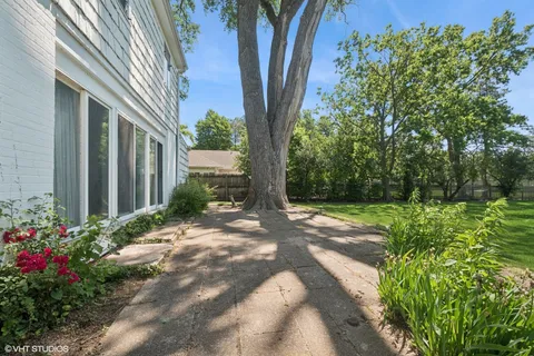 a view of a backyard with plants