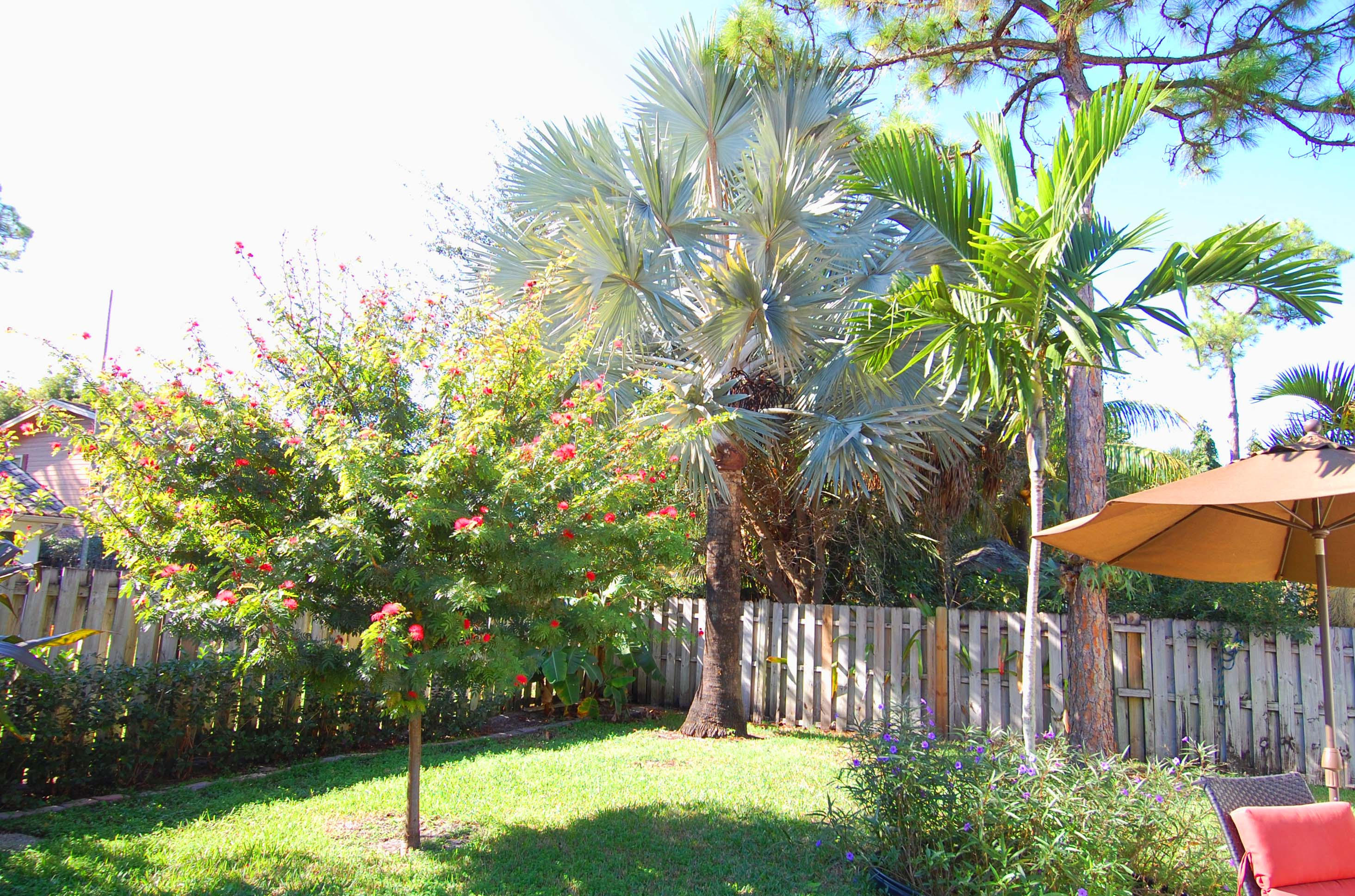 1420 Southwest 20th Street Boca Raton, FL 33486 - Photo 8 of 40 House Back Yard 4