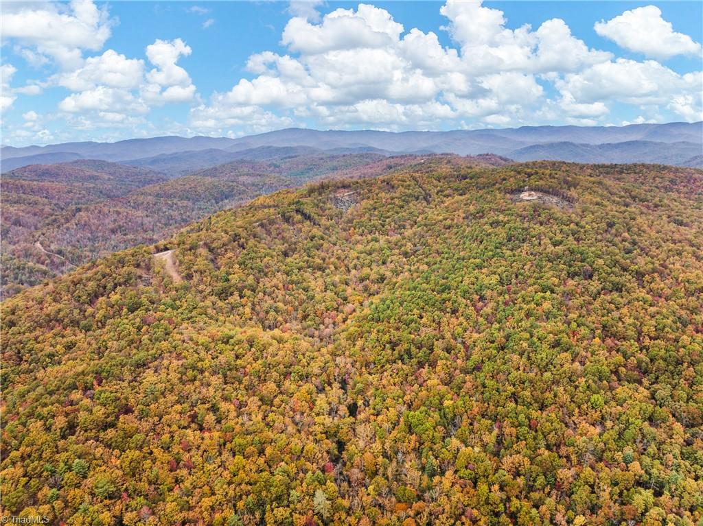 48 Cane Creek Hays, NC 28635 - Photo 14 of 26