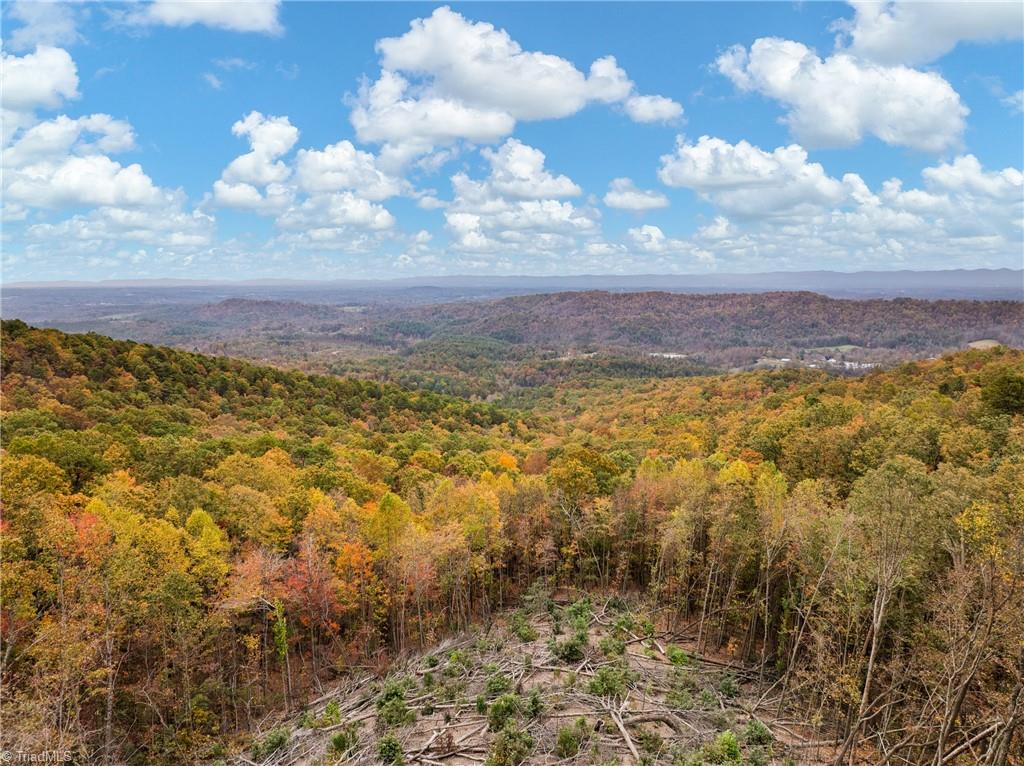 48 Cane Creek Hays, NC 28635 - Photo 15 of 26