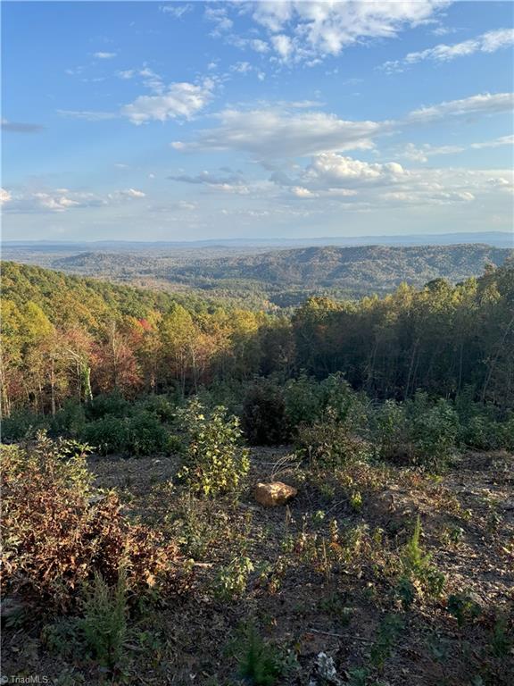 48 Cane Creek Hays, NC 28635 - Photo 6 of 26