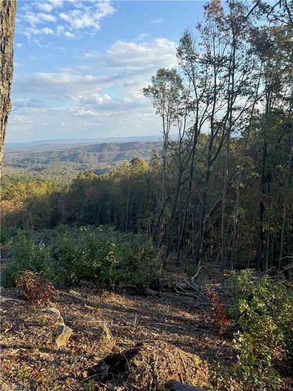 48 Cane Creek Hays, NC 28635 - Photo 7 of 26