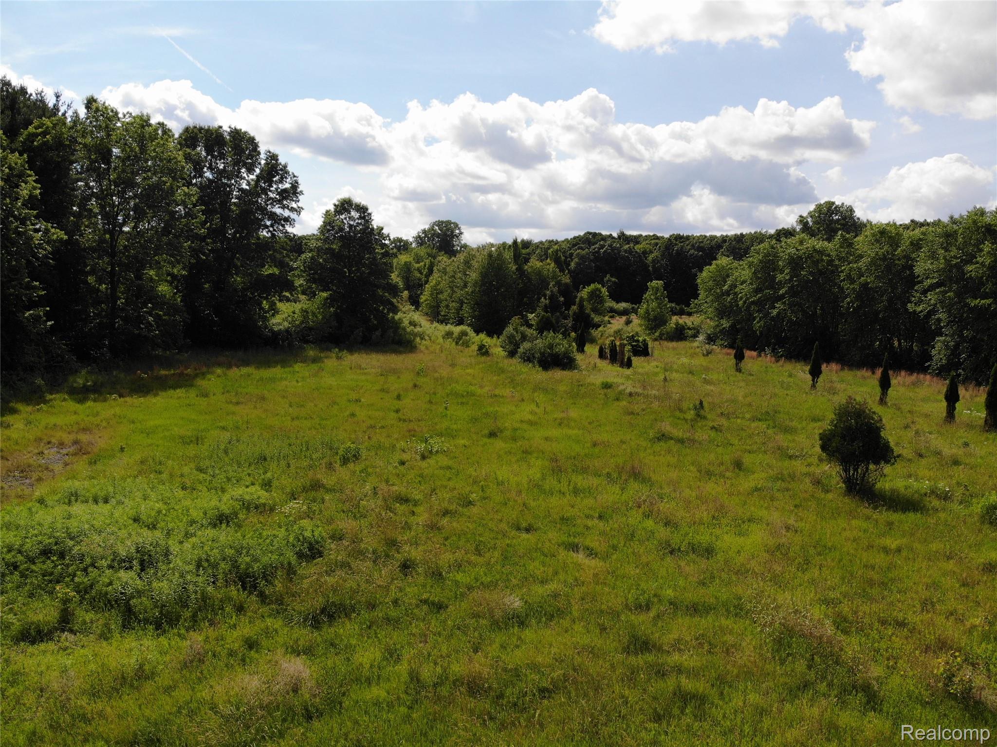 20918 Clark Road Belleville, MI 48111 - Photo 2 of 8 DJI_0297.JPG