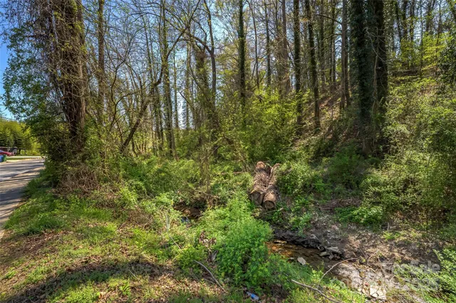 $2,400,000 | 99999 State Street, Asheville, NC 28806