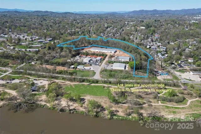 a view of a yard with plants and trees