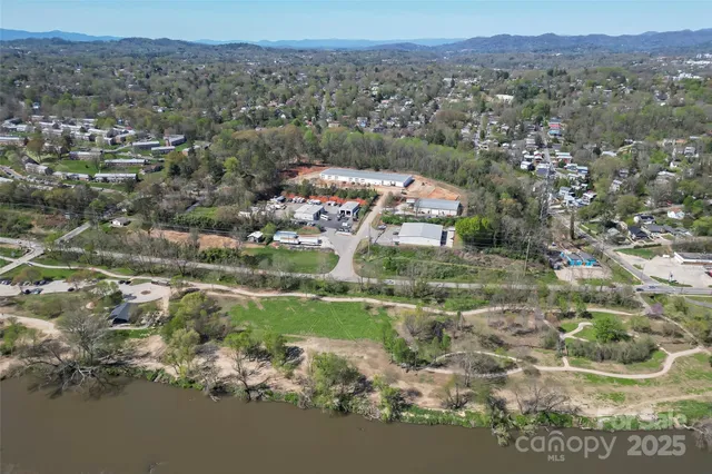 a view of a yard with plants and large trees