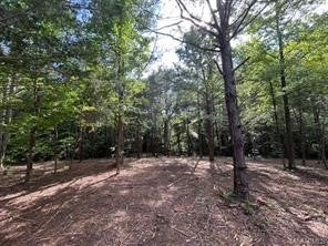 0 Friendship Road Tallassee, AL 36078 - Photo 4 of 11 Gallery Image 4