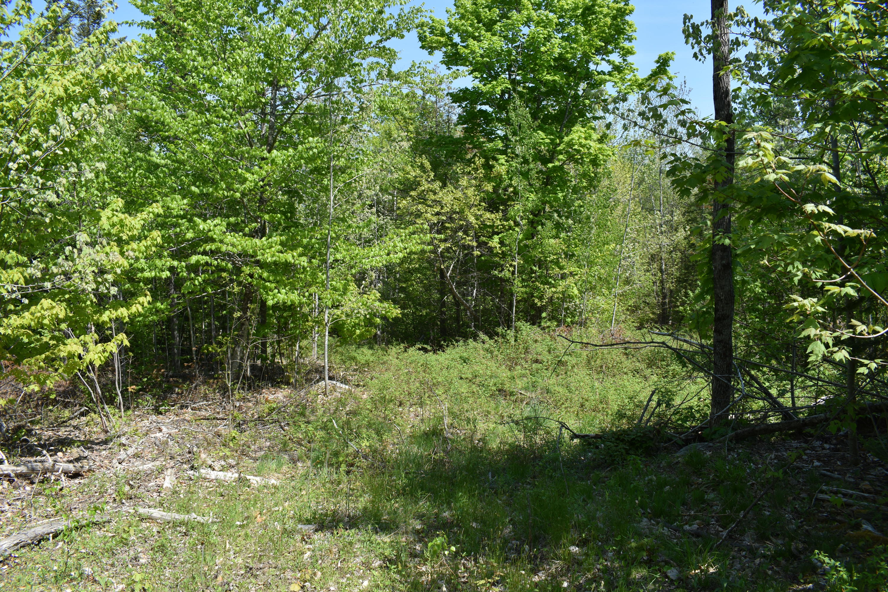 Lot 13 North Road Lee, ME 04455 - Photo 22 of 22 DSC_0053
