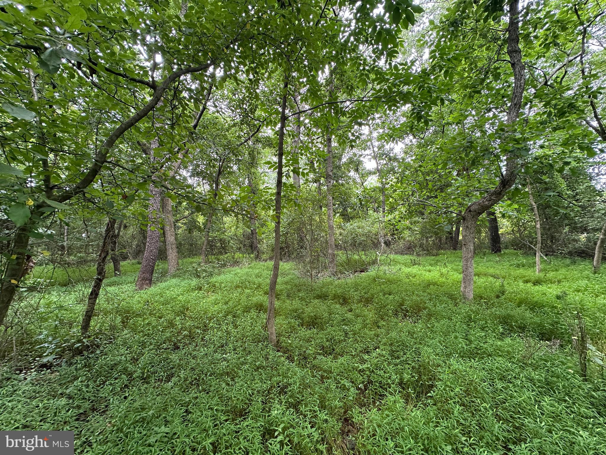 9-acres Polidor Road Waynesboro, PA 17268 - Photo 1 of 20