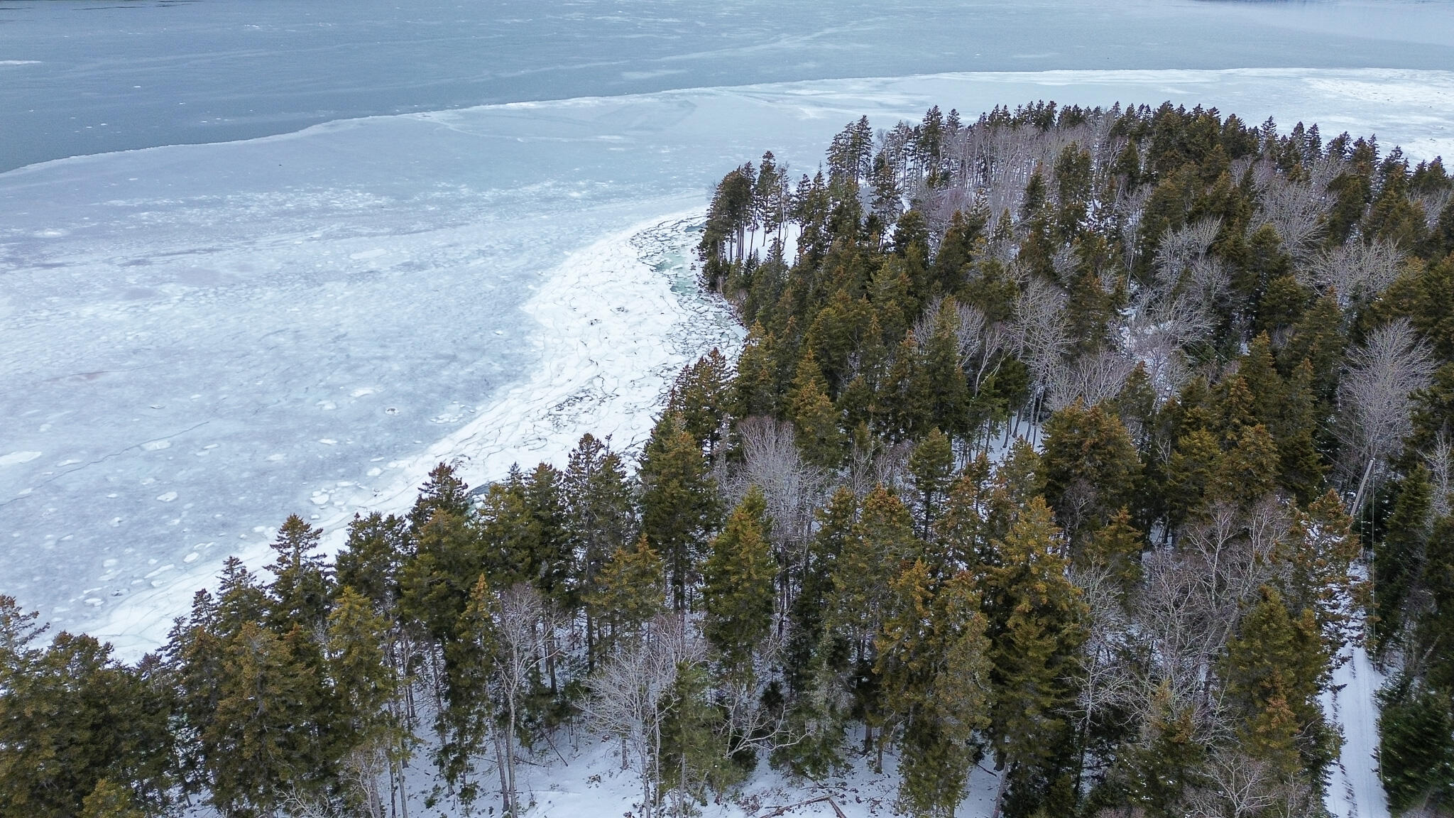 Lot B Fort Williams Road Harrington, ME 04643 - Photo 25 of 37 26