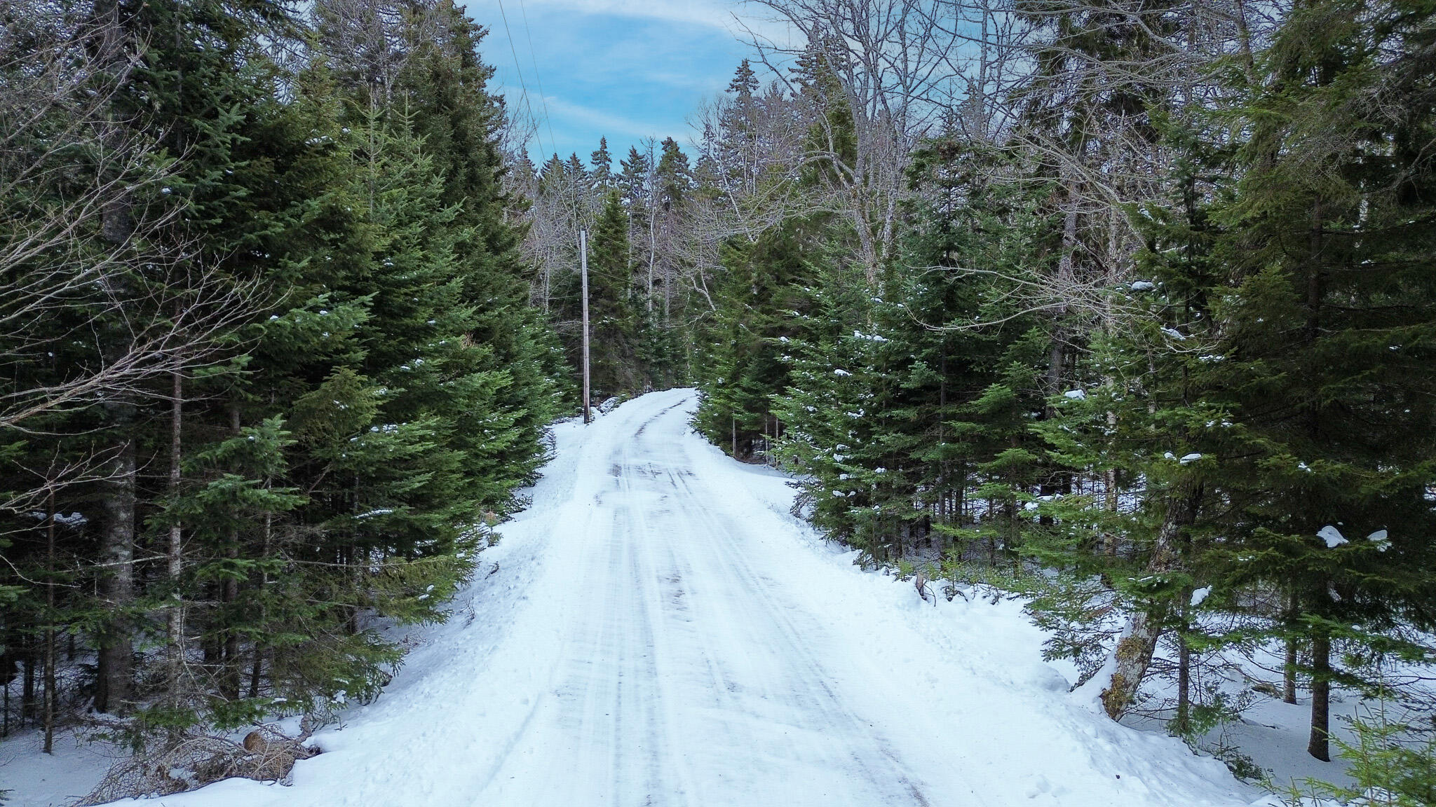 Lot B Fort Williams Road Harrington, ME 04643 - Photo 26 of 37 27