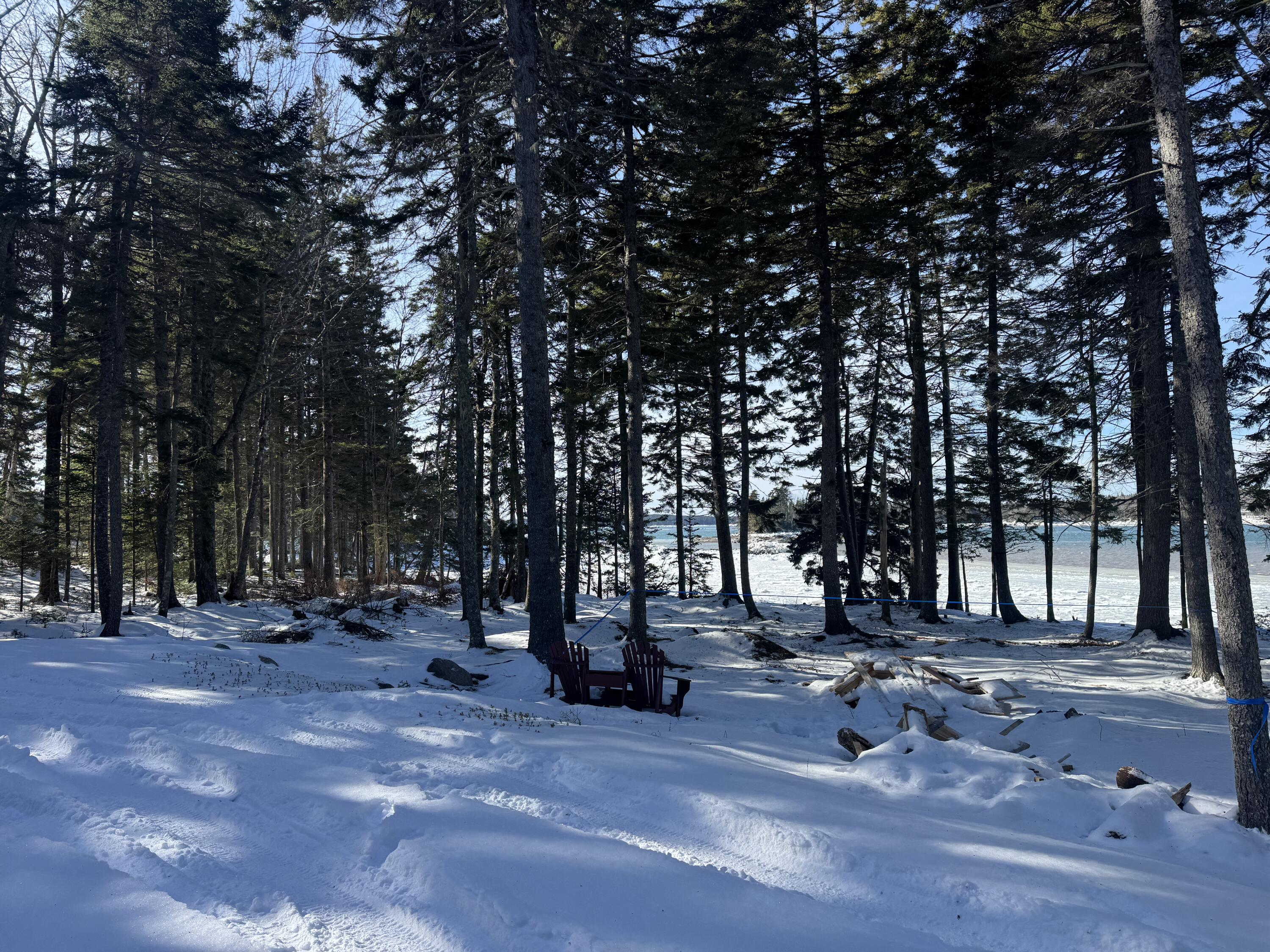 Lot B Fort Williams Road Harrington, ME 04643 - Photo 30 of 37 IMG_4373