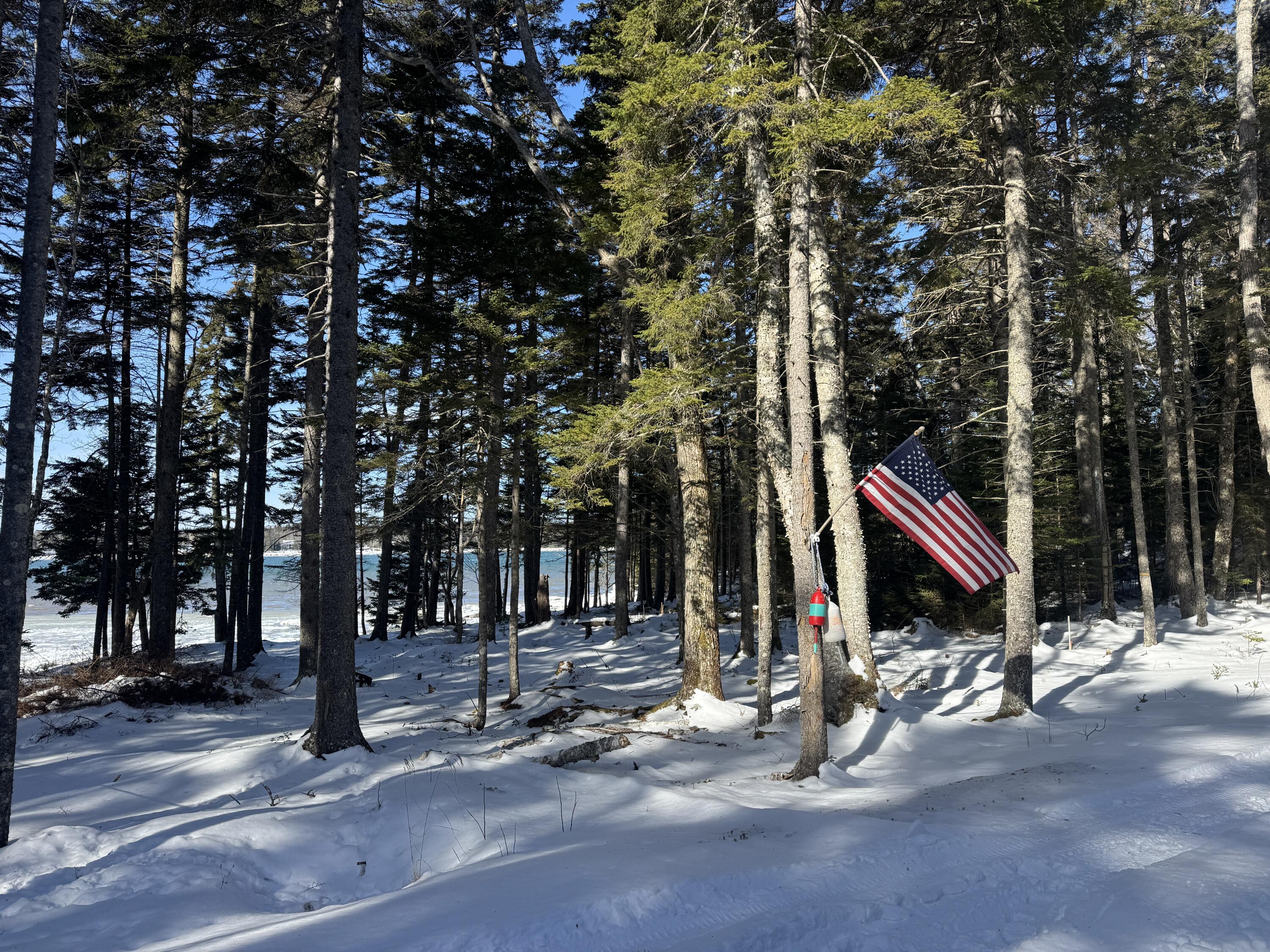 Lot B Fort Williams Road Harrington, ME 04643 - Photo 33 of 36 IMG_4375