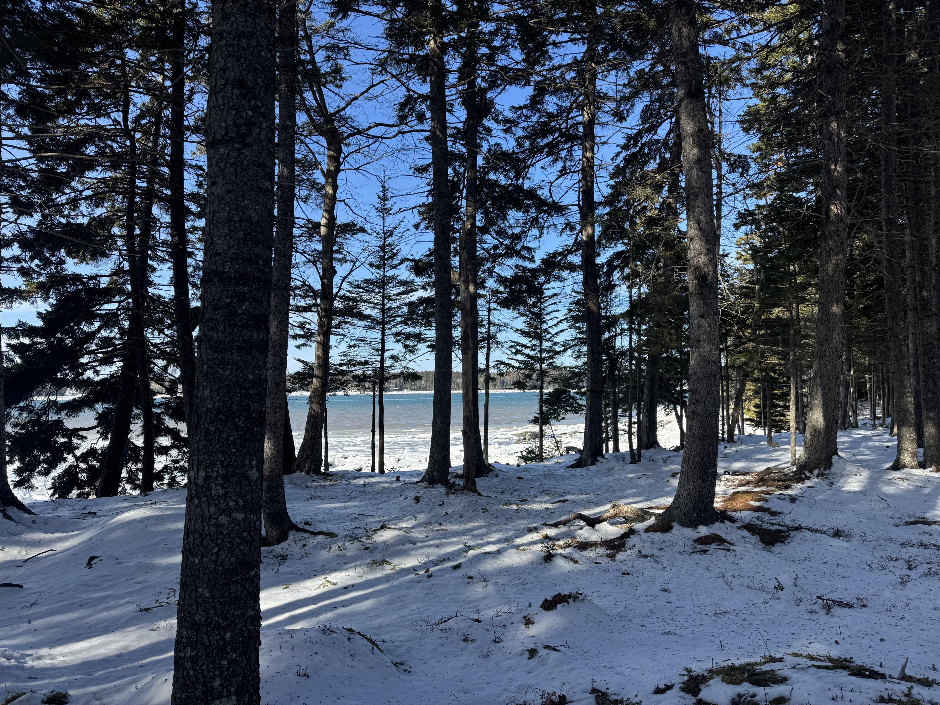 Lot B Fort Williams Road Harrington, ME 04643 - Photo 35 of 37 IMG_4377