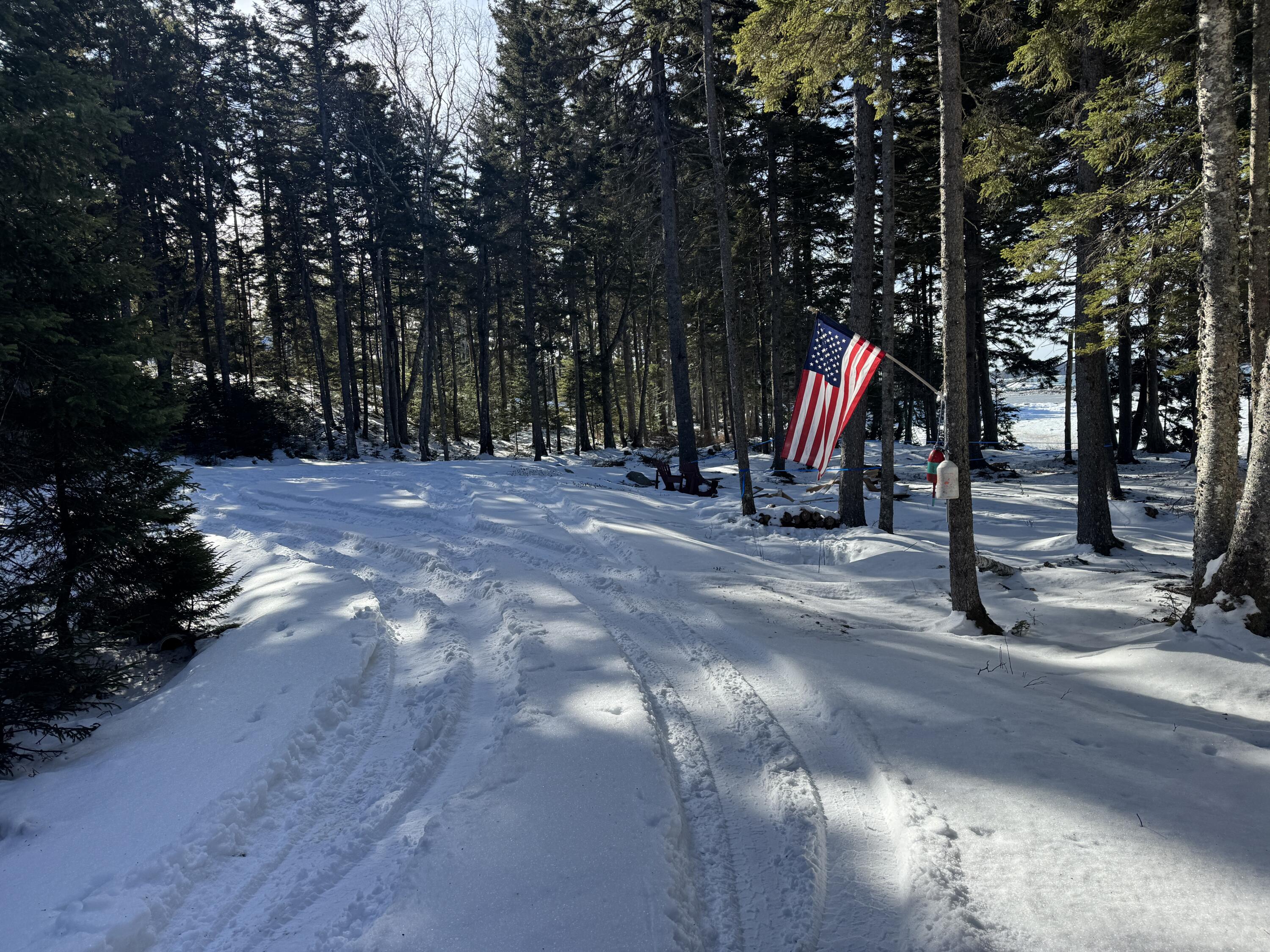 Lot B Fort Williams Road Harrington, ME 04643 - Photo 36 of 37 IMG_4379