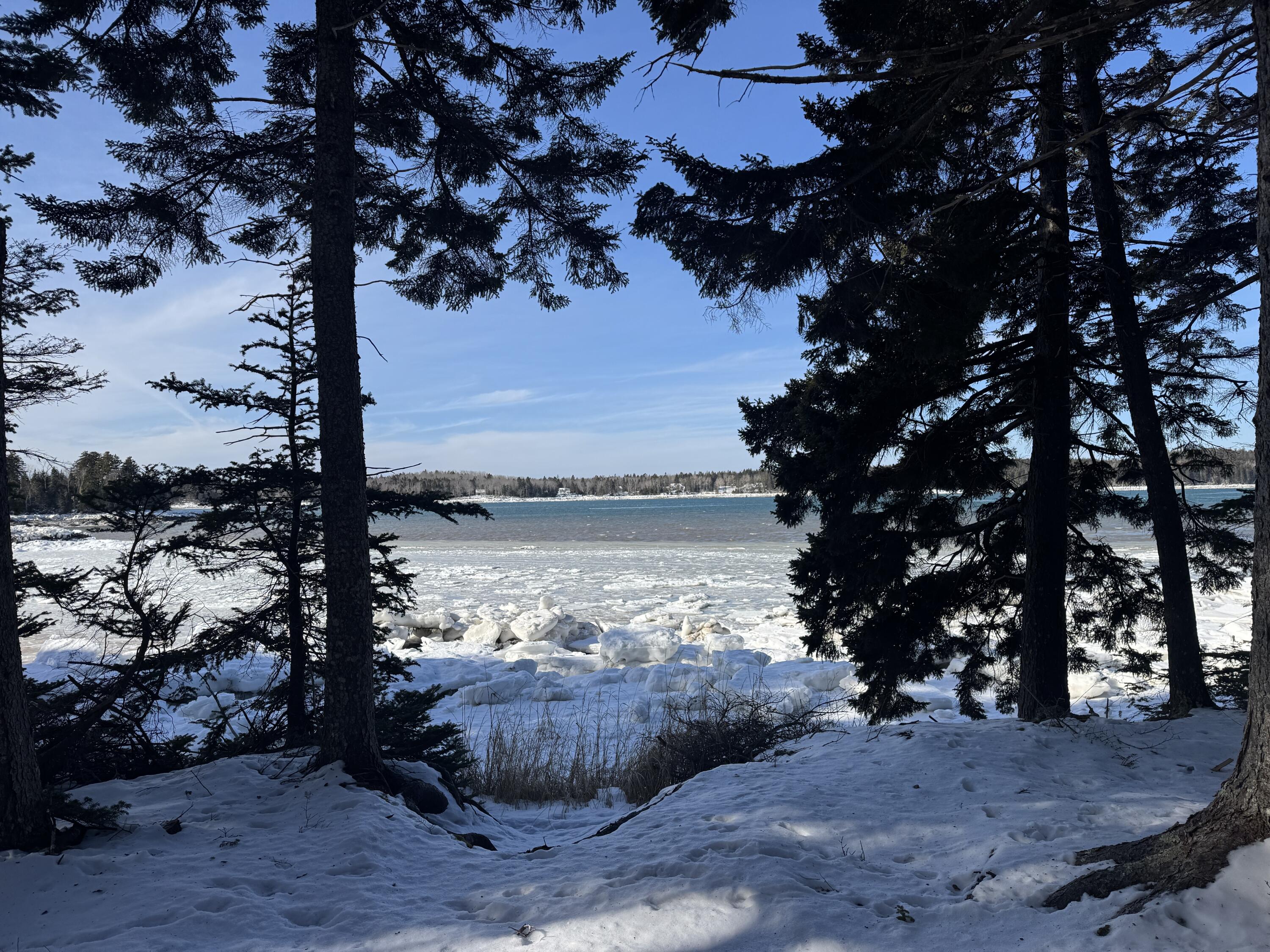 Lot B Fort Williams Road Harrington, ME 04643 - Photo 37 of 37 IMG_4378